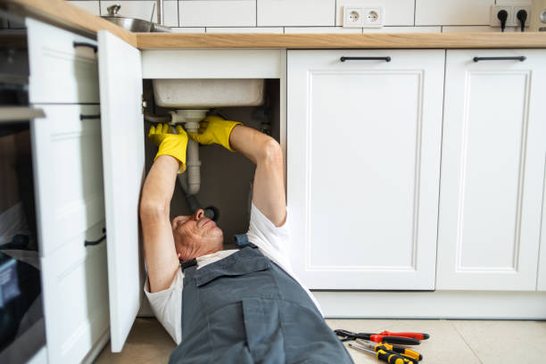 Best Local Plumber Services  in Melrose, MN