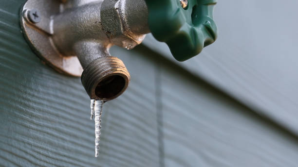 Best Sprinkler Systems  in Melrose, MN